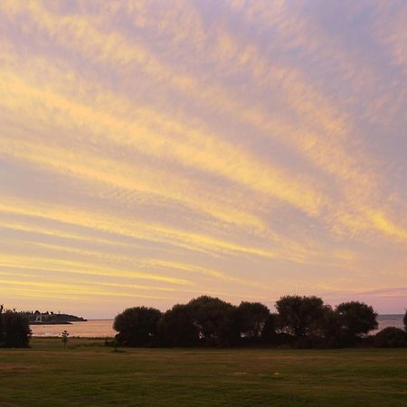 Discovery Parks - Devonport Ngoại thất bức ảnh